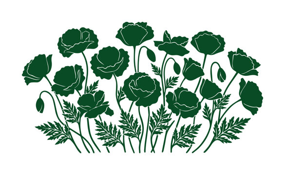 Silueta de amapolas silvestres en color verde oscuro, ilustraci&oacute;n bot&aacute;nica de flores de campo, dise&ntilde;o floral minimalista en formato eps