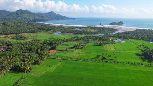 Aerial drone footage of Panggul city bay, in Trenggalek regency, Java island, Indonesia, with large forests and green rice fields until the beach, a wide river, hills and reefs, blue sea water