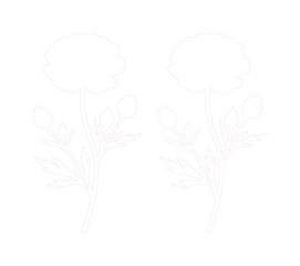 Fototapeta premium Delicate ranunculus flower vector illustration, elegant botanical line art, white floral design element, minimalist bloom graphic for wedding invitations and branding