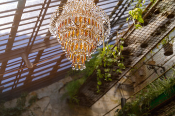 Obraz premium Sunlight streaming through a glass greenhouse roof onto a luxury chandelier and vines