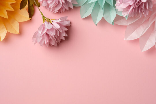 Floral border made of paper flowers and pink blossoms on pink surface