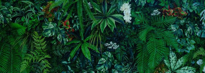 Full Frame of Green Leaves Pattern Background, Nature Lush Foliage Leaf Texture, tropical leaf © Nabodin
