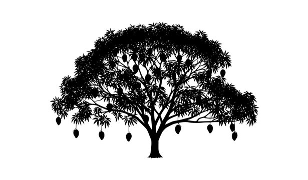 Mango Tree Silhouette with Fruits Black and White Nature Vector Illustration