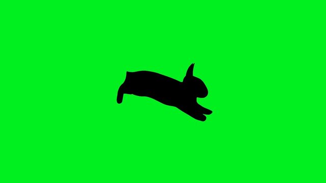 Loop animation of a rabbit silhouette hopping smoothly in side view on green screen background, clean chroma key setup for Easter graphics, cartoon scenes, and digital media production.