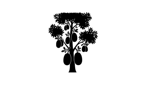 Jackfruit Tree Silhouette Vector Illustration Tropical Fruit Tree Isolated on White Background