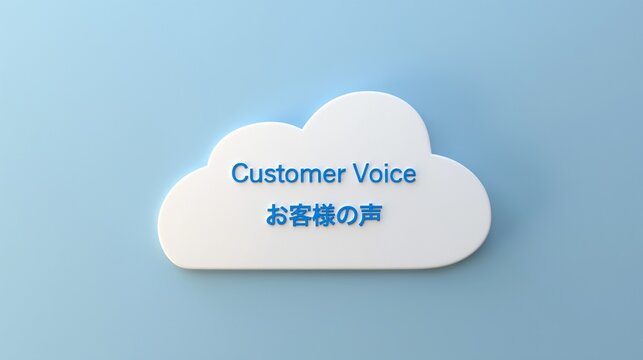 Customer Voice text cloud on a light blue background