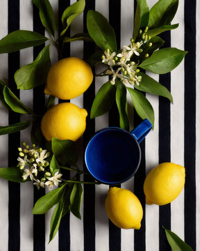 High-end flat lay of fresh lemons and lemon tree branches with blue mug on black and white striped fabric background.