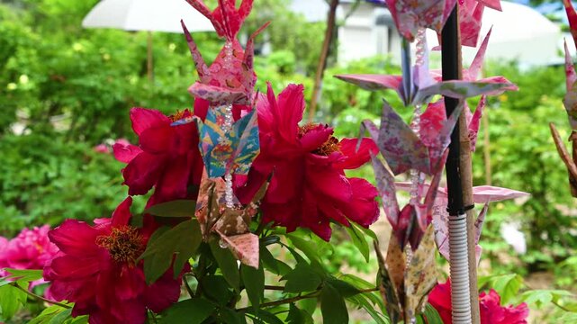 赤い牡丹と折り鶴が揺れる動画