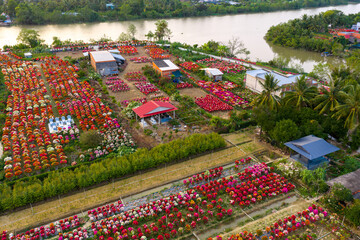Aerial view of Phu Son village of bougainvillea blooms throughout Ben Tre, Vietnam © CravenA