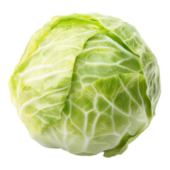 Fototapeta premium Fresh, crisp green cabbage isolated on a clean white background, ready for healthy cooking.