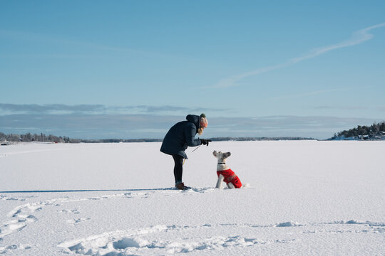 woman training her dog to sit whilst playing in the snow