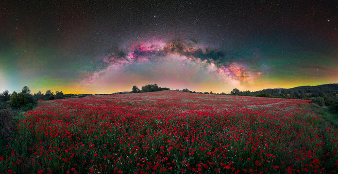 Milky Way and Night Airglow Above Red Poppy Field