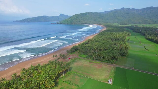 Aerial drone footage of Sumbreng beach bay, Munjungan area, Trenggalek regency, Java island, Indonesia, with amazing white pinky sand, blue ocean, clear waves, forests around and cliffs, rice fields
