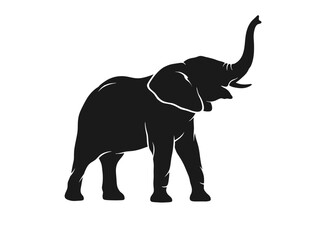Obraz premium elephant silhouette 