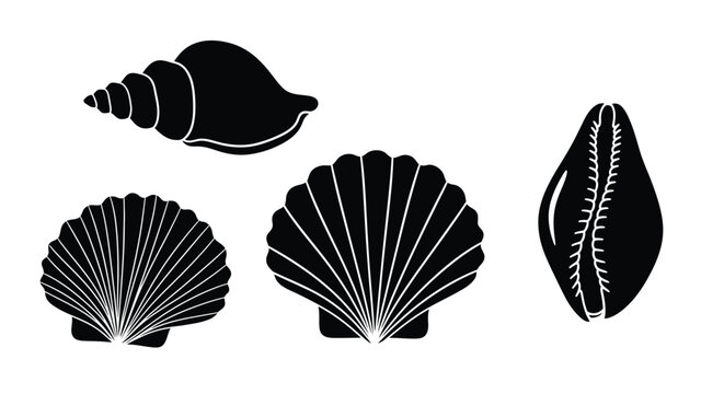 Black and white illustration featuring a collection of various seashell silhouettes