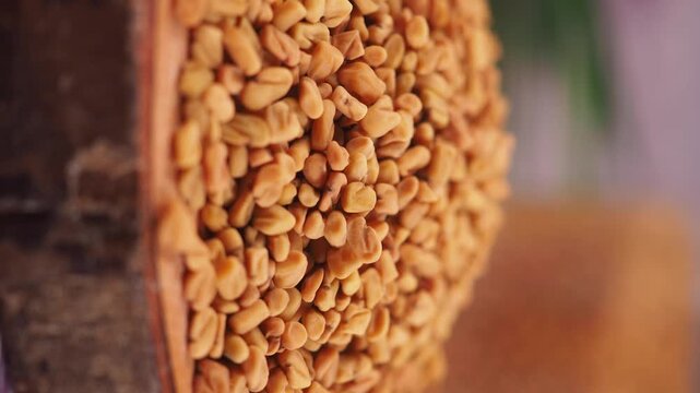 Close up of fenugreek seeds in container on shelf at market.