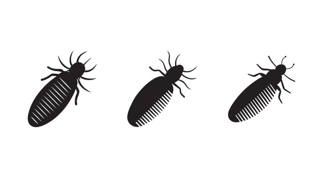 Silhouette illustrations of lice with different body patterns on white background  lice silhouettes for educational or design use