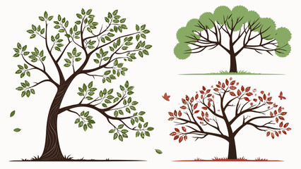 Fototapeta premium Vector image of garden and fruit trees for landscape design. Spring bloom, summer foliage, and autumn harvest. For infographics and web design.
