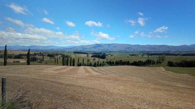 Rural Valley With Tall Trees And Fields