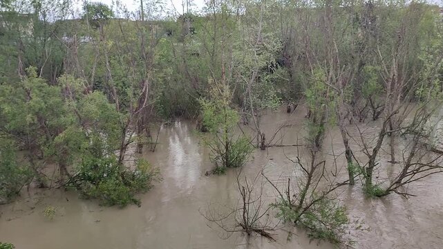 Benevento - Fiume Calore in piena dal ponte di Parco Cellarulo
