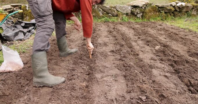 Farmer sowing seeds in a vegetable garden