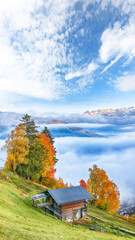 Obraz premium Spectacular view of the meadows and mountains around Zell lake or Zeller See .