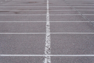 Fototapeta premium White markings on the asphalt