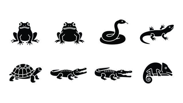 A collection of black reptile and amphibian silhouettes including frogs snakes lizards turtles alligators and a chameleon silhouette high quality professional