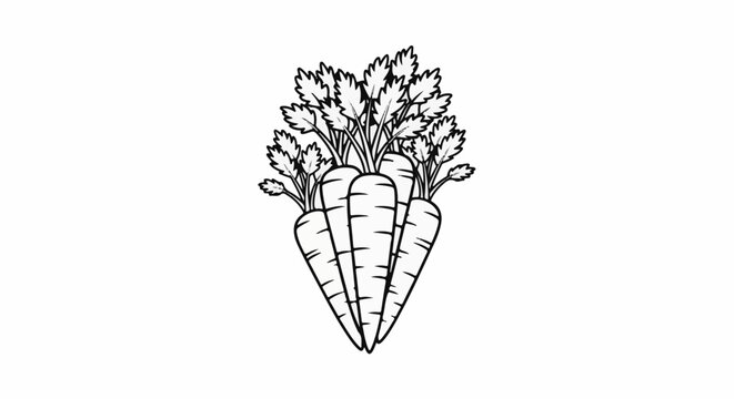 Bunch of carrots with leafy green tops