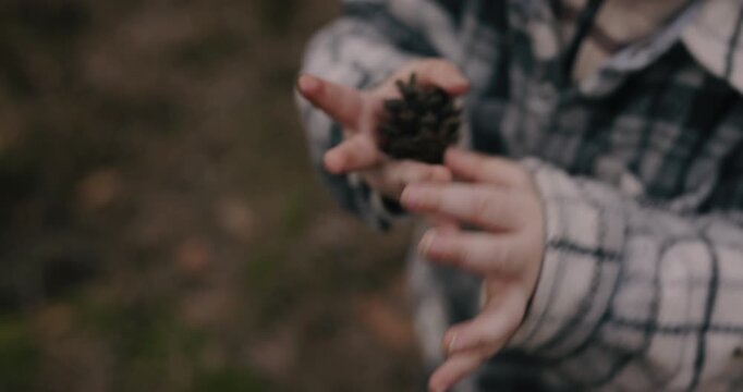 Handheld cinematic shot of a small pine cone in a kid's hands