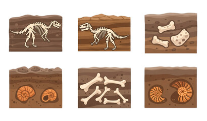 Paleontology fossil illustration with dinosaur skeletons ammonites and buried shells in ground sections © MstRuna