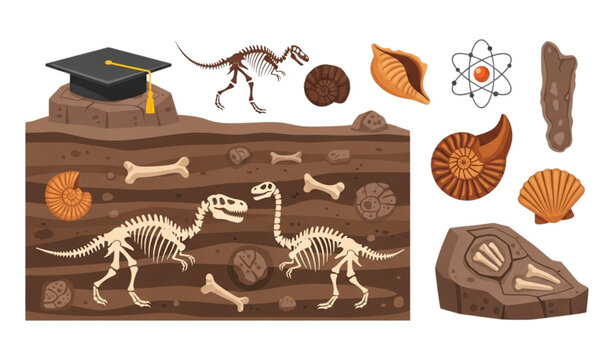 Colorful cartoon fossil set with dinosaur bones ammonites and shells for paleontology education design