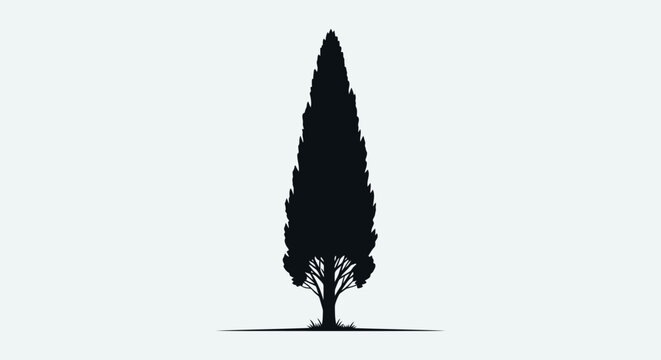 A striking silhouette of a tall, slender cypress tree against a plain, light gray background, with a subtle shadow cast on the ground.