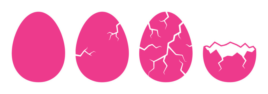 Pink hatching egg sequence vector, cracked eggshell stages icon set, broken magenta bird egg progress illustration for birth and growth concepts