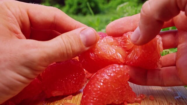 Close Up of Hands Breaking Juicy Red Pomelo Segment into Pieces with Visible Juice Drops on Wooden Board and Blurred Tropical Background, Fresh Citrus Preparation