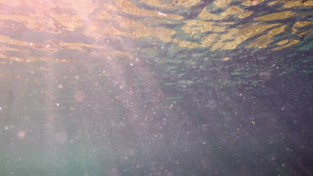 sunlight shining though to underwater ocean 