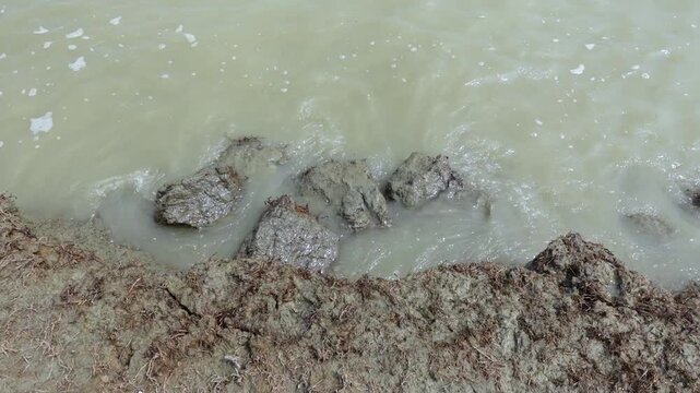 A view of the riverbank in the erosion-affected area of Char Hassan area of Bhola district. Water is rushing along the riverbank in the river erosion area. 