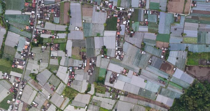 Aerial view of a patchwork of farm fields intermingled with houses and roads creating a textured landscape, Kintamani, Bali, Indonesia.