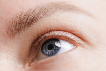 Obraz premium Confident female portrait, Close-up of caucasian natural eye with blue iris before Procedure Permanent makeup tattoo