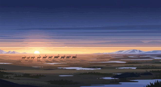 Tundra