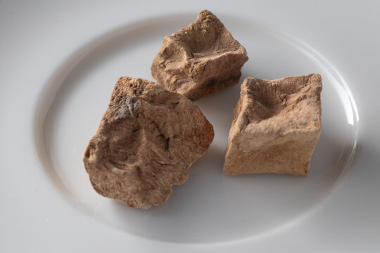 polygonum multiflorum -Chinese climbing knotweed