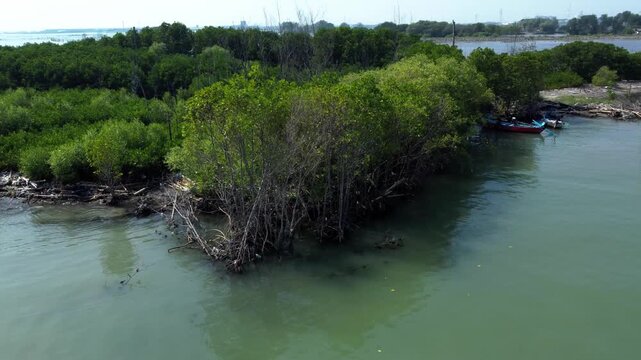 Aerial view of the vibrant green mangroves meet the tranquil waters where boats rest along the muddy bank, Semarang, Indonesia.