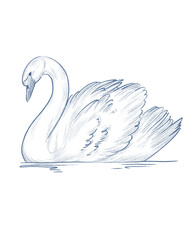 Line art blue swan bird © yuliia lashevska
