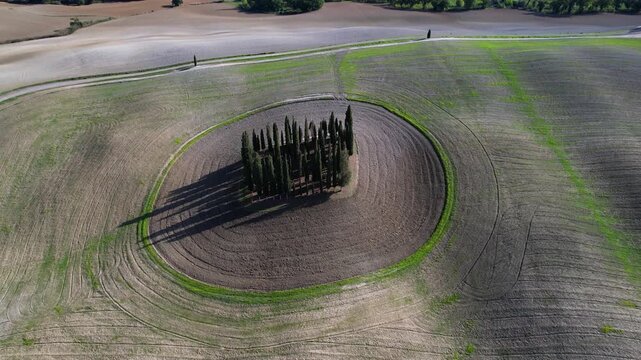 Italy Tuscany 4K Aerial Drone Video Cinematic Slow Pull Back from Iconic Circle of Cypress Trees in Val d'Orcia Rolling Green Hills Golden Hour Rural Travel