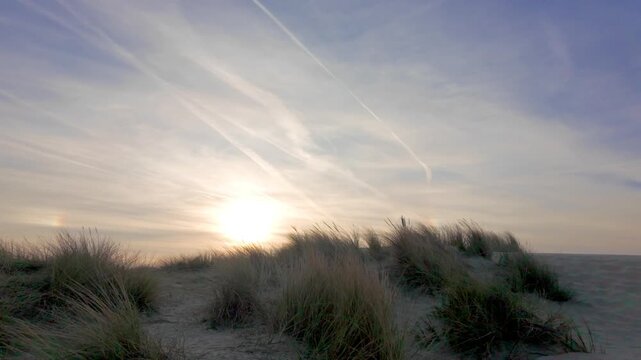 Peaceful Sunset Over a Sandy Dune with Marram Grass Swaying Gently in the Wind and Contrails Across the Sky.