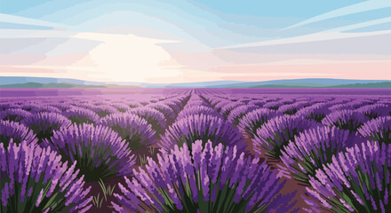 Obraz premium Vibrant Lavender Field Landscape at Sunset in Provence France