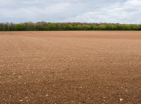 champs labour&eacute; bord&eacute; d'arbres