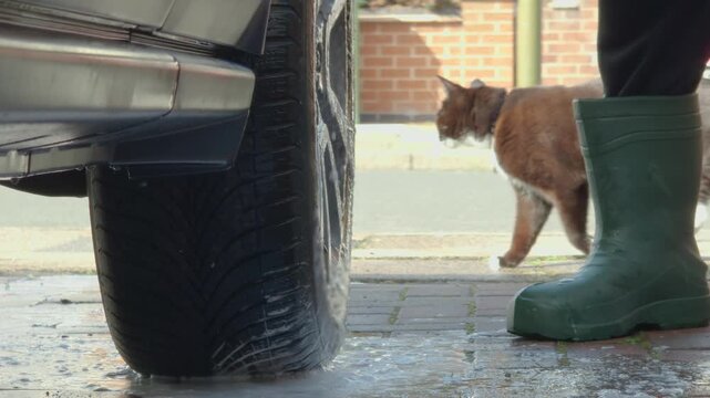 Car wheel washing on home driveway while domestic cat walking past in background. Close up of wet tire with soap foam and rubber boots during DIY cleaning routine. Everyday life moment, pet passing by