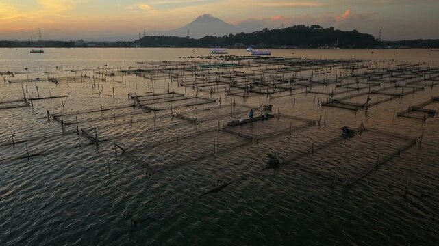 Aerial view of Rowo Jombor lake with square fish farms contrasting with the distant mountain under a dusky sky, Klaten Regency, Jawa Tengah, Indonesia.