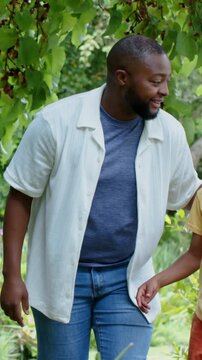 Vertical video: Glancing up, father in white shirt in yard guiding son reaching up to fruit in tree